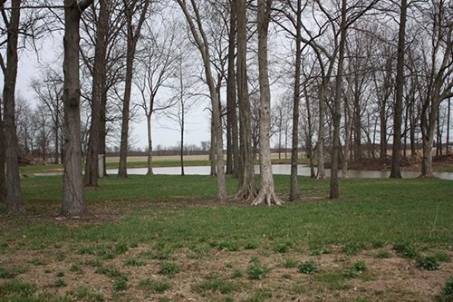 Tract 1 - REAL ESTATE AUCTION, 60 +/- Acres offered in 3 Tracts Swine Operation